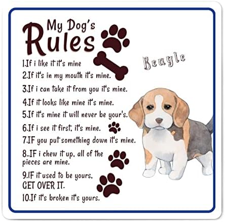 מצחיק מתכת כלב סימן שלט שלי כלב של כללים עתיק לחיות מחמד כלב דלת קולב עם סרקסטי לחיות מחמד כלב ציטוט אסתטי מתכת הדפסת עתיק כלב קיר קישוט