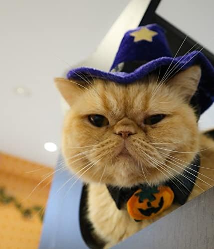 חתול תלבושות כובע, חתול אשף כובע עם פעמון, כלב ליל כל הקדושים תלבושות עבור ליל כל הקדושים, חג המולד, מפלגה