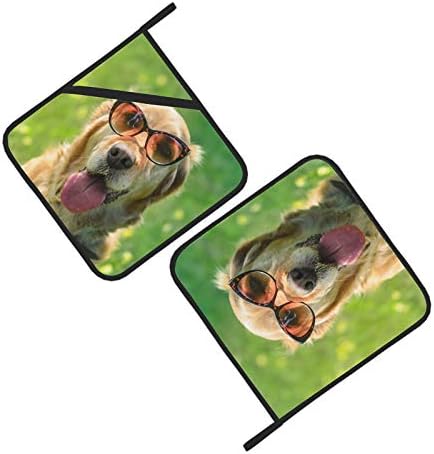 משקפי שמש של כלב גולדן רטריבר מחזיק סיר סט עמיד בחום ערכות מגבות למטבח עם מחזיקי סיר 2 מחזיקי סיר למחשבי חום למטבח עמיד בחום 8 × 8 אינץ