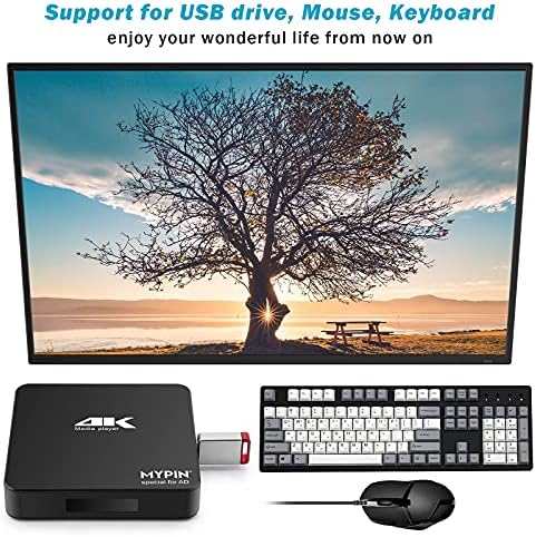 4K@60Hz תמיכה בנגן המדיה MP4 MP4 8TB HDD/256G כונן USB/כרטיס SD עם HDMI/AV OUT עבור HDTV/PPT MKV AVI MP4 H.265-Support Presitions כתוביות/תזמון,