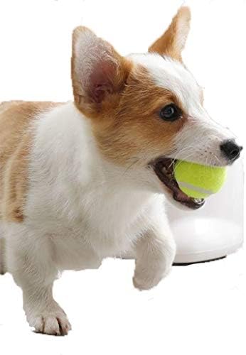 משגר כדור אוטומטי קטן של Haoyunlai, צעצוע כלב משגר כדורים אוטומטי, זורק כדור כלבים, מכונת זריקת כדור טניס אינטראקטיבית לכלבים, נוחות עמידה