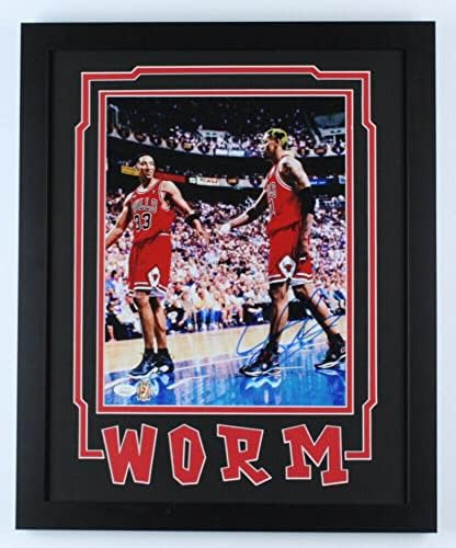דניס רודמן חתום על חתימה 11x14 תמונה ממוסגרת JSA שוורים אותנטיים 8 תולעת - תמונות NBA עם חתימה
