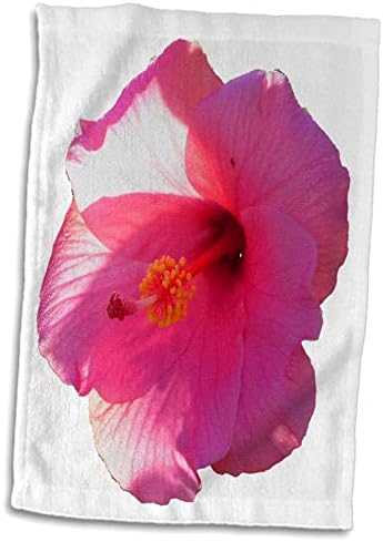 3drose susans גן חיות פרחים - תמונת פרחי היביסקוס ורודה - מגבות