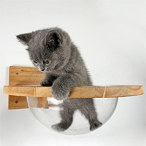 קיר רכוב שקוף קפסולת חלל חתולי קיר בית חתולי עץ עץ חתולי טיפוס מסגרת חתלתול מיטת מקפצה לחיות מחמד ריהוט