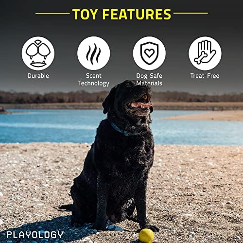 פלייולוגיה חורקת צעצוע כלב כדורים, ערך 2 חבילה לכלבים בינוניים/גדולים - עבור העיסות הכבדות ביותר - צעצוע ריחני עוף טבעי - חומרים לא רעילים