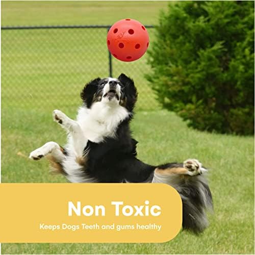 חנות NOA חנות צעצוע של כדור כלבים בלתי ניתן לשבירה 10 אינץ ' - כדור קשה עמיד וקל משקל לכלבים בינוניים בגודל 10 אינץ