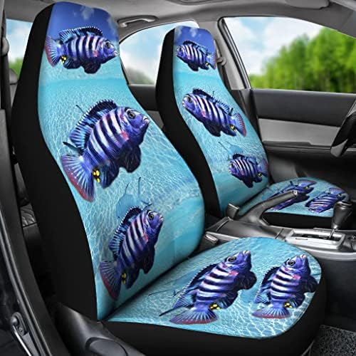 אפרה ציקליד דגי הדפסת רכב מושב מכסה כושר אוניברסלי רכב מושב מכסה-אפרה ציקליד דגי הדפסת רכב מושב מכסה