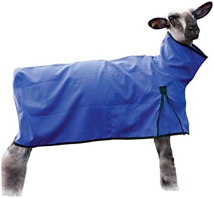 ויבר עור בעלי חיים כבשים שמיכה, מוצק התחת, גדול במיוחד, כחול