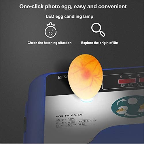 חממת ביצי ז 'דו, אינקובטורים דיגיטליים אוטומטיים לחלוטין, בקרת טמפרטורת הפיכת ביצים אוטומטית, תצוגת לד, הספק כפול אינטליגנטי אוטומטי,