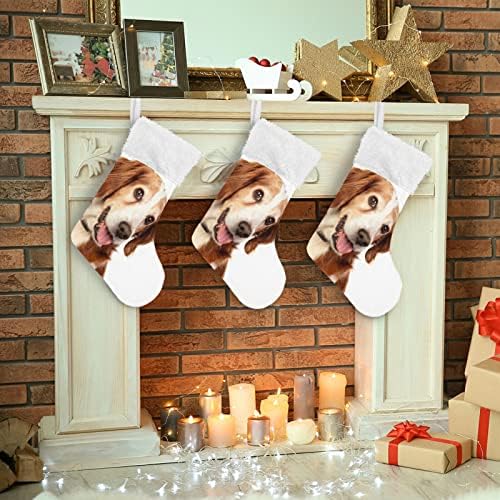גרבי חג המולד של Alaza דיוקנאות יפים של קלאסי כלב קלאסי מותאם אישית לקישוטים לגרביים גדולים לעיצוב המסיבה של עונת החגים המשפחתית 1 חבילה,